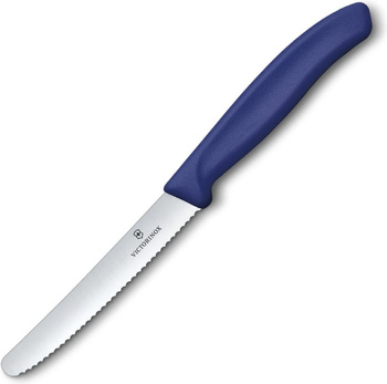 Kuchyňský a zeleninový nůž Swiss Classic Victorinox 22 cm Autumn Berry